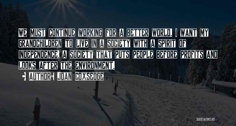 Joan Coxsedge Quotes: We Must Continue Working For A Better World. I Want My Grandchildren To Live In A Society With A Spirit