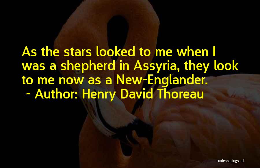 Henry David Thoreau Quotes: As The Stars Looked To Me When I Was A Shepherd In Assyria, They Look To Me Now As A