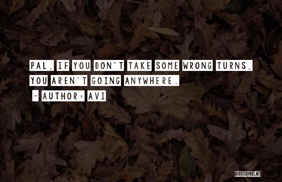 Avi Quotes: Pal, If You Don't Take Some Wrong Turns, You Aren't Going Anywhere.