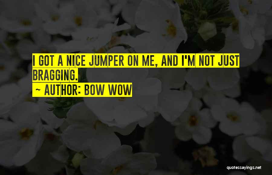Bow Wow Quotes: I Got A Nice Jumper On Me, And I'm Not Just Bragging.