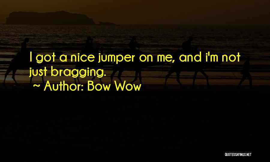 Bow Wow Quotes: I Got A Nice Jumper On Me, And I'm Not Just Bragging.