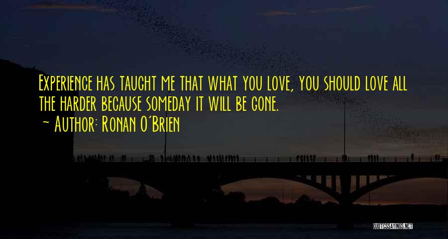Ronan O'Brien Quotes: Experience Has Taught Me That What You Love, You Should Love All The Harder Because Someday It Will Be Gone.