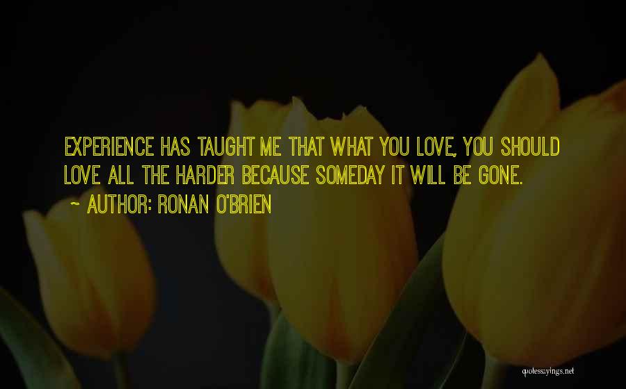 Ronan O'Brien Quotes: Experience Has Taught Me That What You Love, You Should Love All The Harder Because Someday It Will Be Gone.