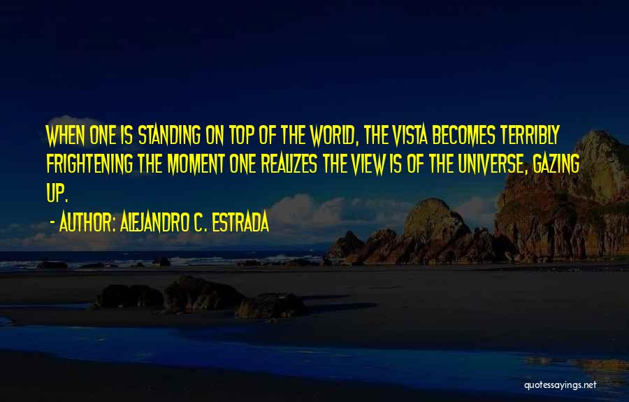 Alejandro C. Estrada Quotes: When One Is Standing On Top Of The World, The Vista Becomes Terribly Frightening The Moment One Realizes The View