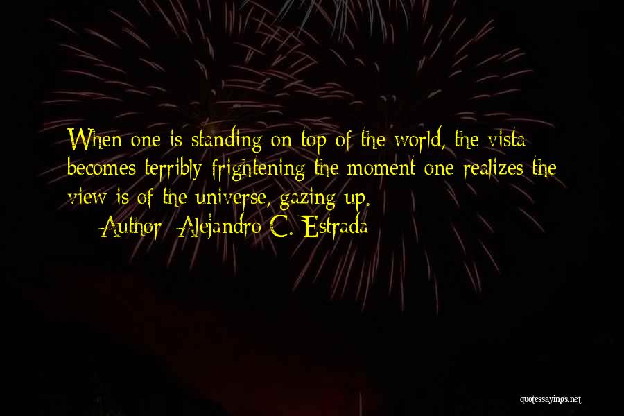 Alejandro C. Estrada Quotes: When One Is Standing On Top Of The World, The Vista Becomes Terribly Frightening The Moment One Realizes The View