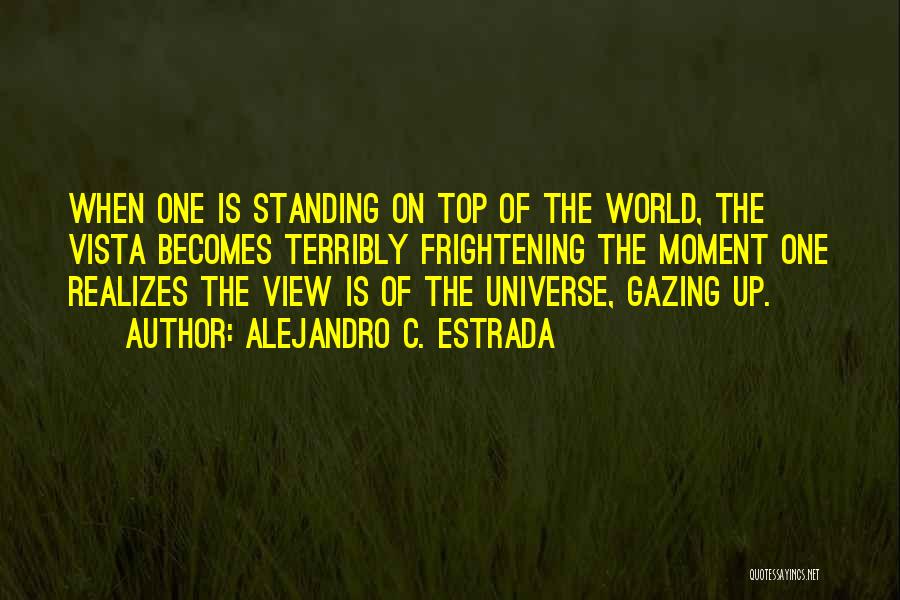 Alejandro C. Estrada Quotes: When One Is Standing On Top Of The World, The Vista Becomes Terribly Frightening The Moment One Realizes The View
