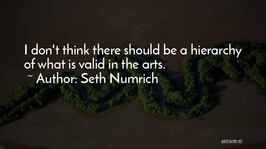 Seth Numrich Quotes: I Don't Think There Should Be A Hierarchy Of What Is Valid In The Arts.