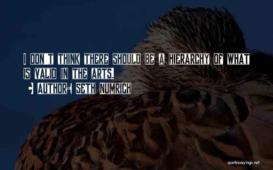 Seth Numrich Quotes: I Don't Think There Should Be A Hierarchy Of What Is Valid In The Arts.