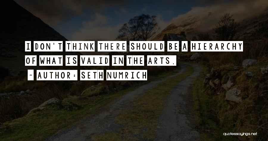 Seth Numrich Quotes: I Don't Think There Should Be A Hierarchy Of What Is Valid In The Arts.