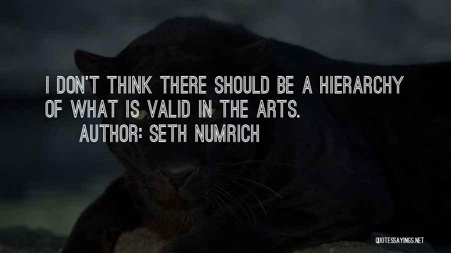 Seth Numrich Quotes: I Don't Think There Should Be A Hierarchy Of What Is Valid In The Arts.