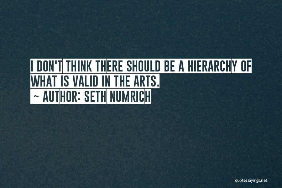 Seth Numrich Quotes: I Don't Think There Should Be A Hierarchy Of What Is Valid In The Arts.