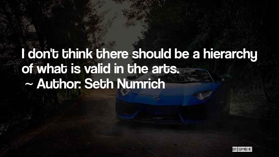 Seth Numrich Quotes: I Don't Think There Should Be A Hierarchy Of What Is Valid In The Arts.