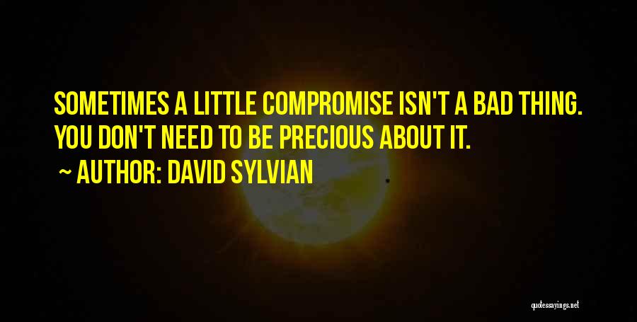 David Sylvian Quotes: Sometimes A Little Compromise Isn't A Bad Thing. You Don't Need To Be Precious About It.