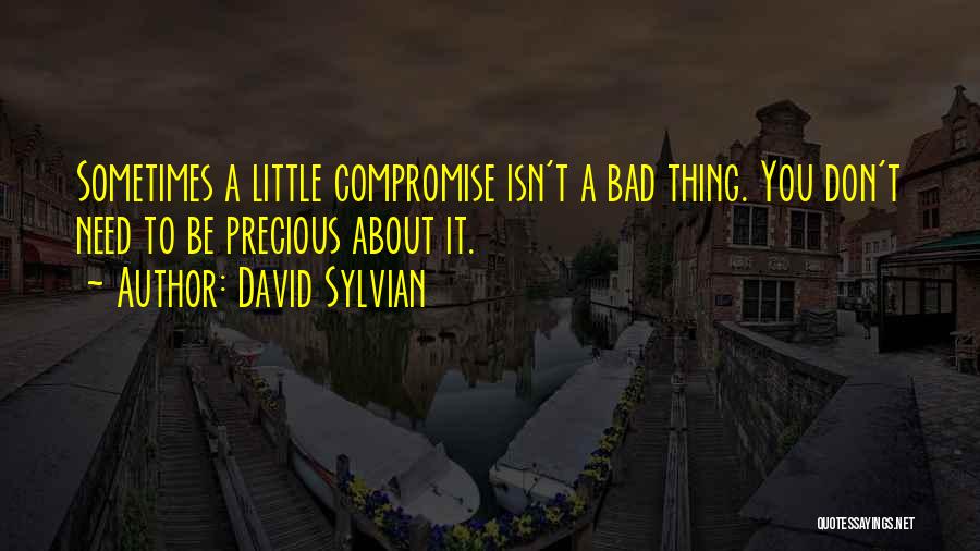 David Sylvian Quotes: Sometimes A Little Compromise Isn't A Bad Thing. You Don't Need To Be Precious About It.