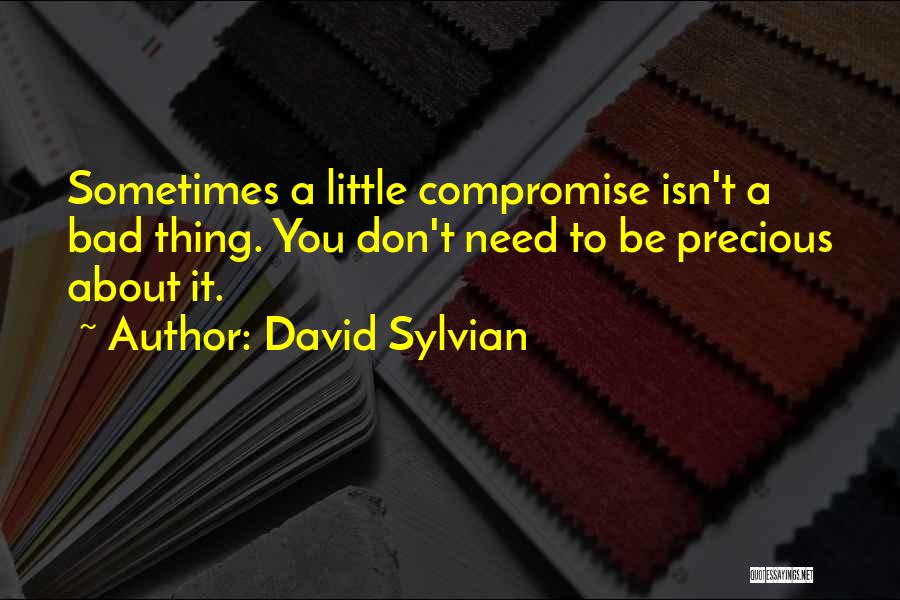 David Sylvian Quotes: Sometimes A Little Compromise Isn't A Bad Thing. You Don't Need To Be Precious About It.