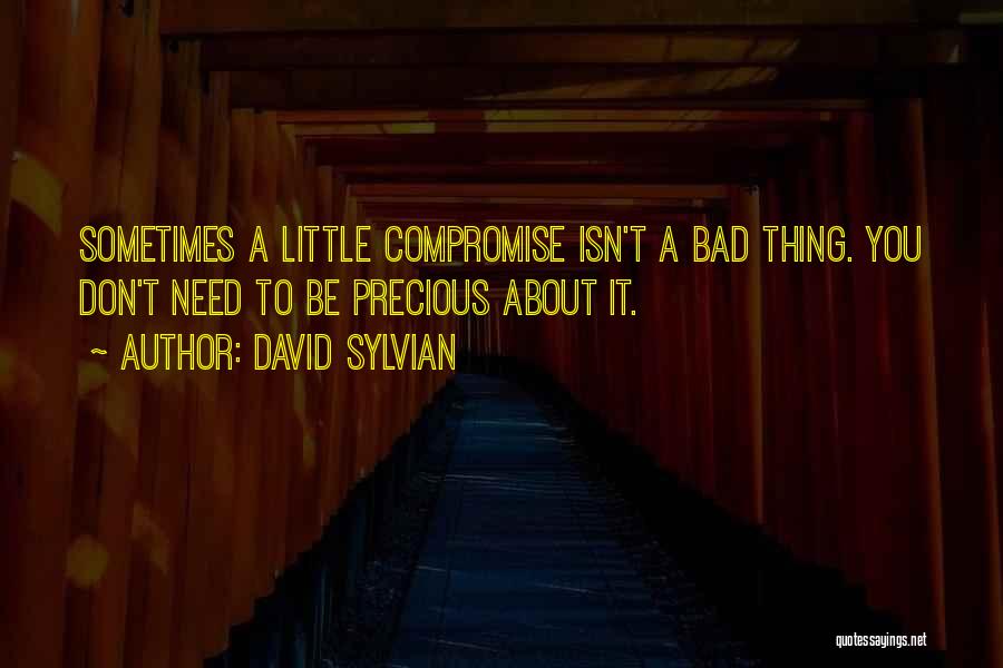 David Sylvian Quotes: Sometimes A Little Compromise Isn't A Bad Thing. You Don't Need To Be Precious About It.