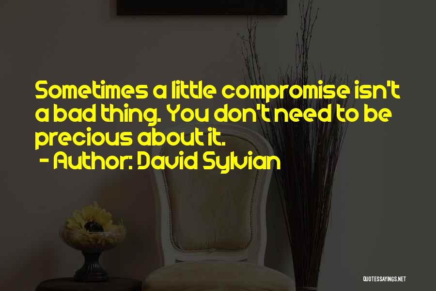 David Sylvian Quotes: Sometimes A Little Compromise Isn't A Bad Thing. You Don't Need To Be Precious About It.