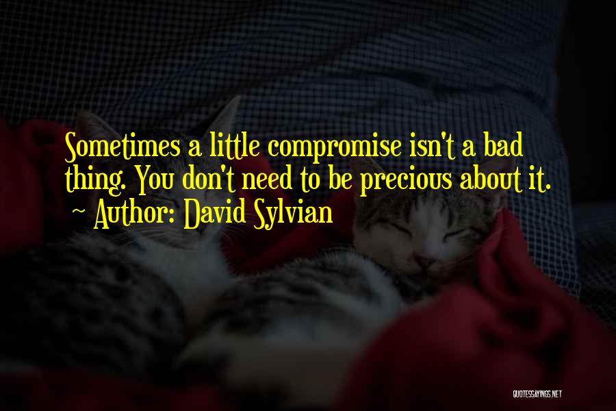 David Sylvian Quotes: Sometimes A Little Compromise Isn't A Bad Thing. You Don't Need To Be Precious About It.