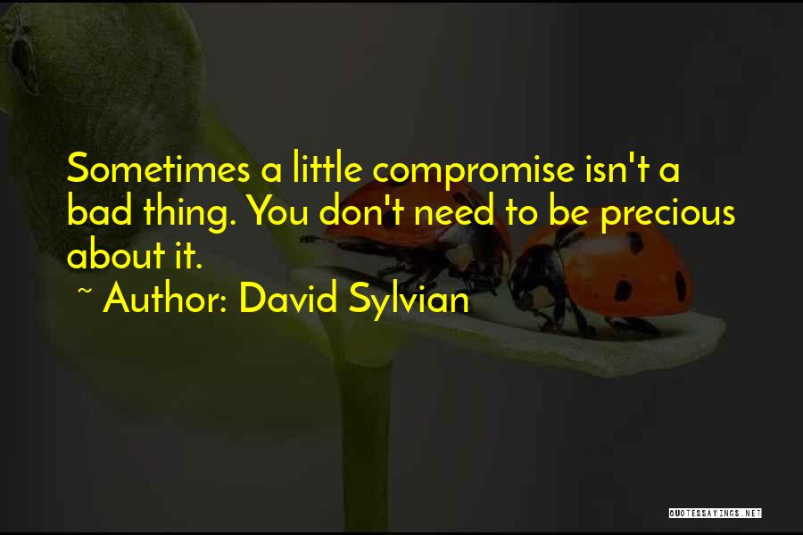 David Sylvian Quotes: Sometimes A Little Compromise Isn't A Bad Thing. You Don't Need To Be Precious About It.