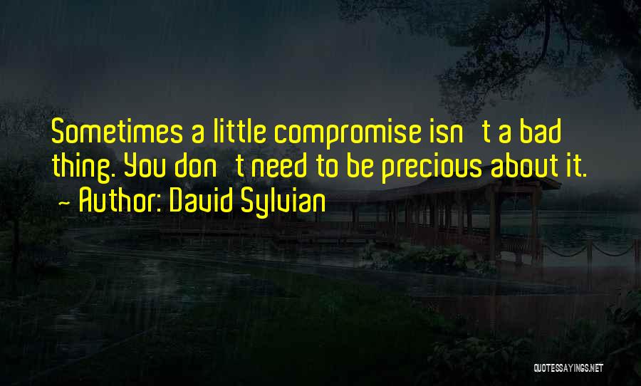 David Sylvian Quotes: Sometimes A Little Compromise Isn't A Bad Thing. You Don't Need To Be Precious About It.