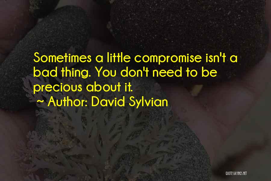 David Sylvian Quotes: Sometimes A Little Compromise Isn't A Bad Thing. You Don't Need To Be Precious About It.