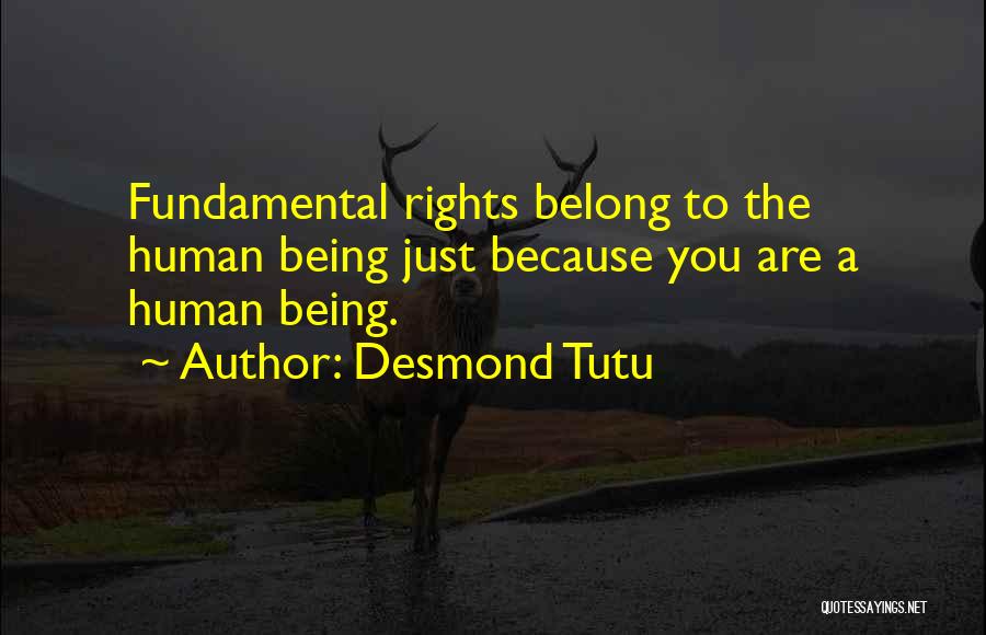 Desmond Tutu Quotes: Fundamental Rights Belong To The Human Being Just Because You Are A Human Being.