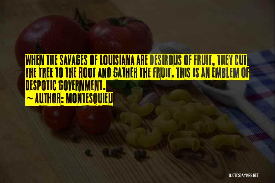 Montesquieu Quotes: When The Savages Of Louisiana Are Desirous Of Fruit, They Cut The Tree To The Root And Gather The Fruit.