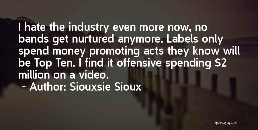 Siouxsie Sioux Quotes: I Hate The Industry Even More Now, No Bands Get Nurtured Anymore. Labels Only Spend Money Promoting Acts They Know