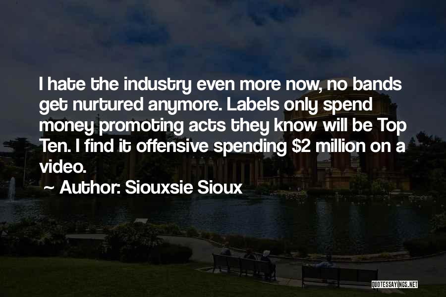 Siouxsie Sioux Quotes: I Hate The Industry Even More Now, No Bands Get Nurtured Anymore. Labels Only Spend Money Promoting Acts They Know