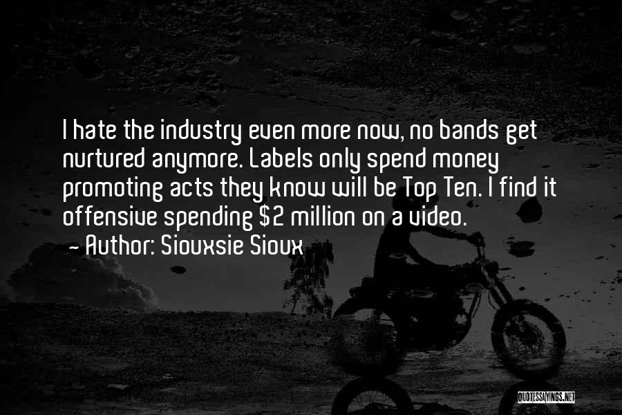 Siouxsie Sioux Quotes: I Hate The Industry Even More Now, No Bands Get Nurtured Anymore. Labels Only Spend Money Promoting Acts They Know