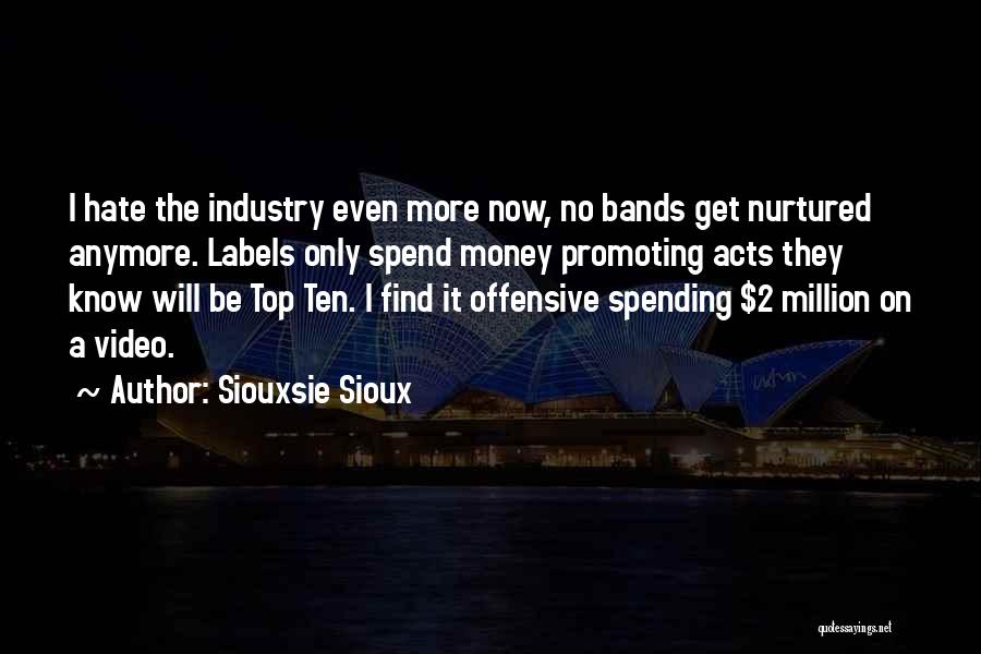 Siouxsie Sioux Quotes: I Hate The Industry Even More Now, No Bands Get Nurtured Anymore. Labels Only Spend Money Promoting Acts They Know