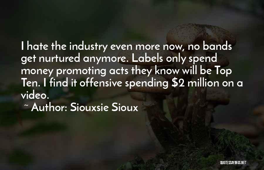 Siouxsie Sioux Quotes: I Hate The Industry Even More Now, No Bands Get Nurtured Anymore. Labels Only Spend Money Promoting Acts They Know