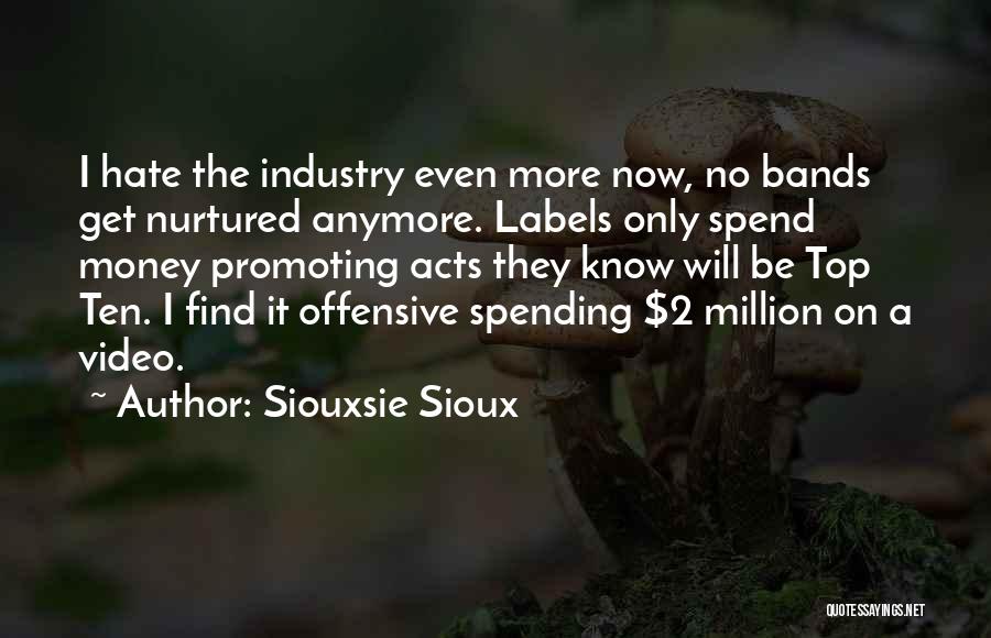 Siouxsie Sioux Quotes: I Hate The Industry Even More Now, No Bands Get Nurtured Anymore. Labels Only Spend Money Promoting Acts They Know