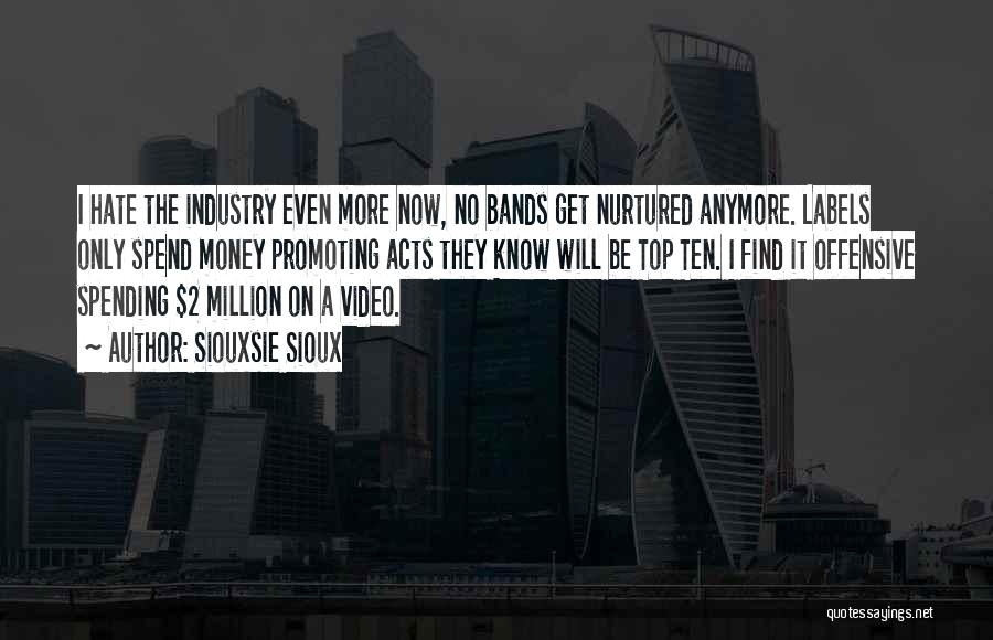 Siouxsie Sioux Quotes: I Hate The Industry Even More Now, No Bands Get Nurtured Anymore. Labels Only Spend Money Promoting Acts They Know