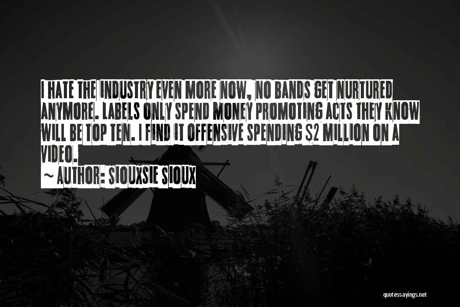 Siouxsie Sioux Quotes: I Hate The Industry Even More Now, No Bands Get Nurtured Anymore. Labels Only Spend Money Promoting Acts They Know