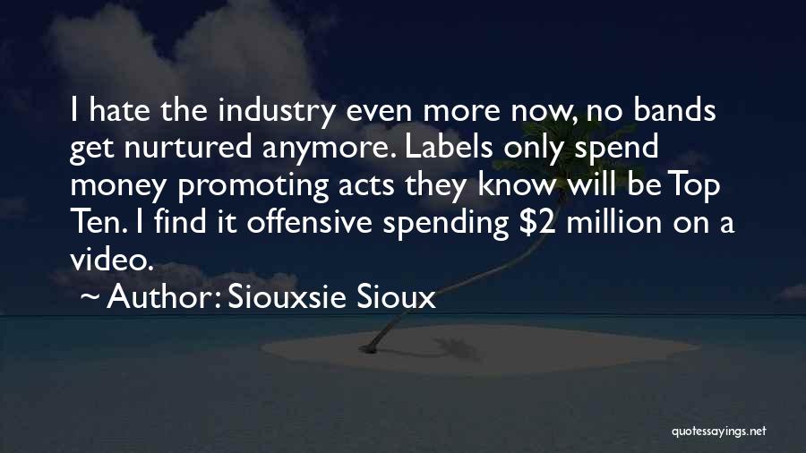 Siouxsie Sioux Quotes: I Hate The Industry Even More Now, No Bands Get Nurtured Anymore. Labels Only Spend Money Promoting Acts They Know