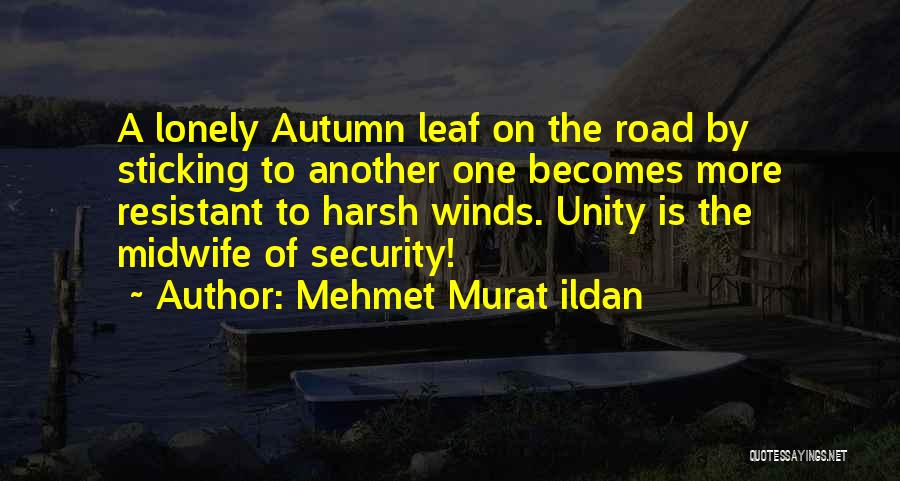 Mehmet Murat Ildan Quotes: A Lonely Autumn Leaf On The Road By Sticking To Another One Becomes More Resistant To Harsh Winds. Unity Is