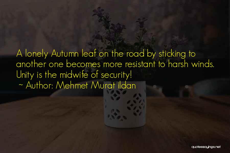 Mehmet Murat Ildan Quotes: A Lonely Autumn Leaf On The Road By Sticking To Another One Becomes More Resistant To Harsh Winds. Unity Is