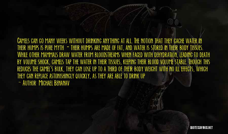 Michael Benanav Quotes: Camels Can Go Many Weeks Without Drinking Anything At All. The Notion That They Cache Water In Their Humps Is