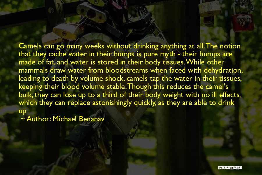 Michael Benanav Quotes: Camels Can Go Many Weeks Without Drinking Anything At All. The Notion That They Cache Water In Their Humps Is