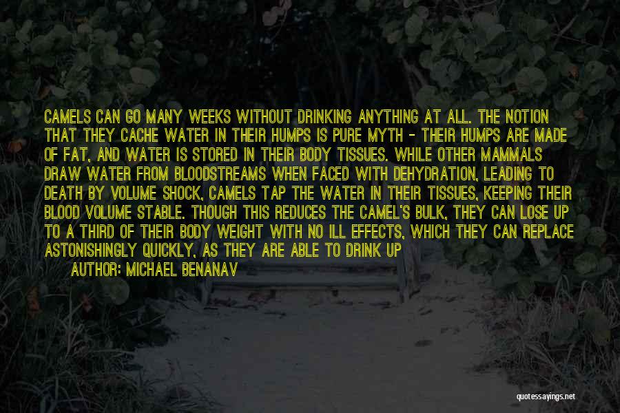 Michael Benanav Quotes: Camels Can Go Many Weeks Without Drinking Anything At All. The Notion That They Cache Water In Their Humps Is