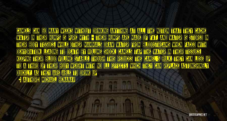 Michael Benanav Quotes: Camels Can Go Many Weeks Without Drinking Anything At All. The Notion That They Cache Water In Their Humps Is