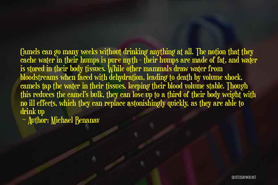 Michael Benanav Quotes: Camels Can Go Many Weeks Without Drinking Anything At All. The Notion That They Cache Water In Their Humps Is