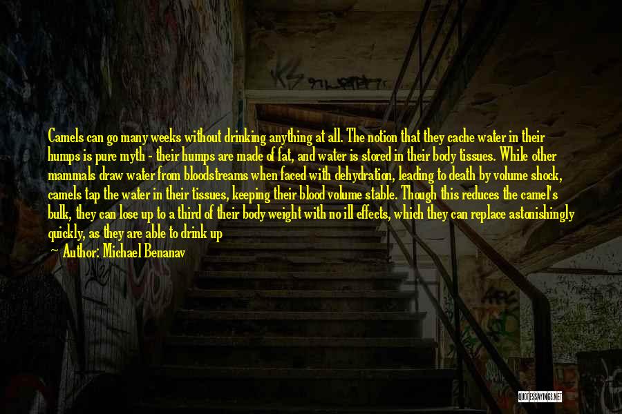 Michael Benanav Quotes: Camels Can Go Many Weeks Without Drinking Anything At All. The Notion That They Cache Water In Their Humps Is