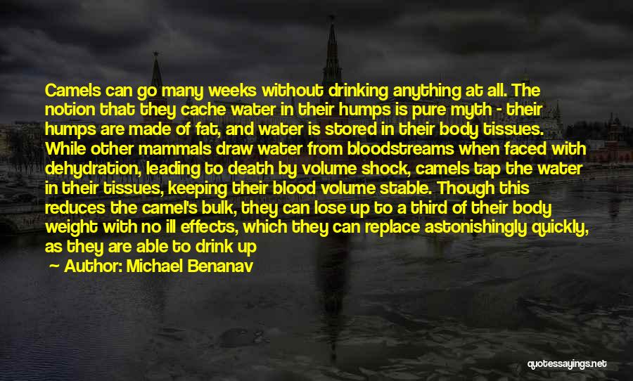 Michael Benanav Quotes: Camels Can Go Many Weeks Without Drinking Anything At All. The Notion That They Cache Water In Their Humps Is