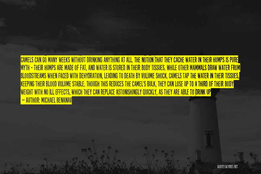 Michael Benanav Quotes: Camels Can Go Many Weeks Without Drinking Anything At All. The Notion That They Cache Water In Their Humps Is