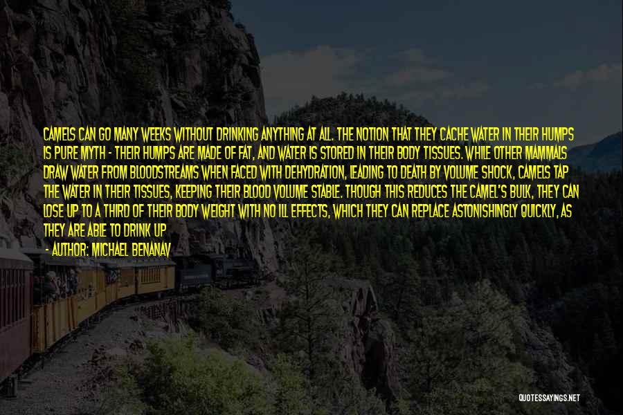 Michael Benanav Quotes: Camels Can Go Many Weeks Without Drinking Anything At All. The Notion That They Cache Water In Their Humps Is