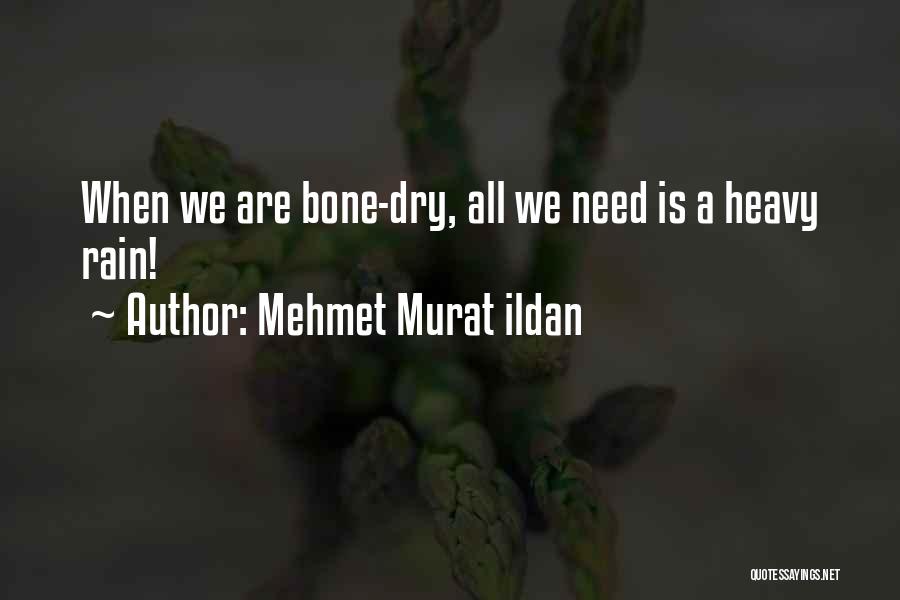 Mehmet Murat Ildan Quotes: When We Are Bone-dry, All We Need Is A Heavy Rain!