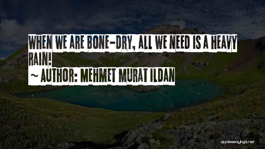 Mehmet Murat Ildan Quotes: When We Are Bone-dry, All We Need Is A Heavy Rain!