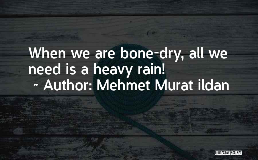 Mehmet Murat Ildan Quotes: When We Are Bone-dry, All We Need Is A Heavy Rain!